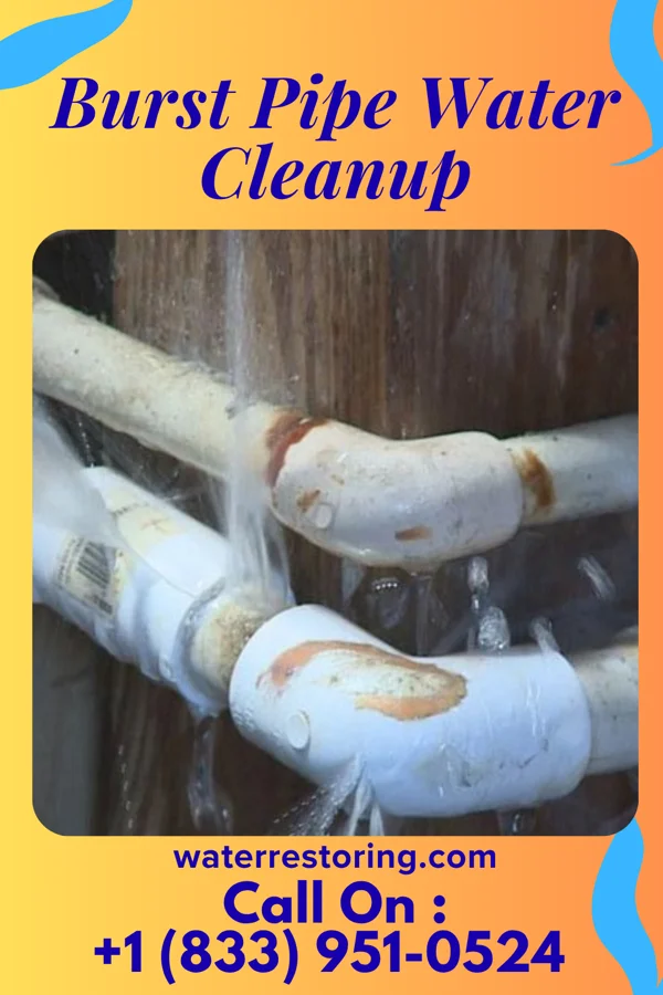 Burst Pipe Water Cleanup in New Providence, NJ