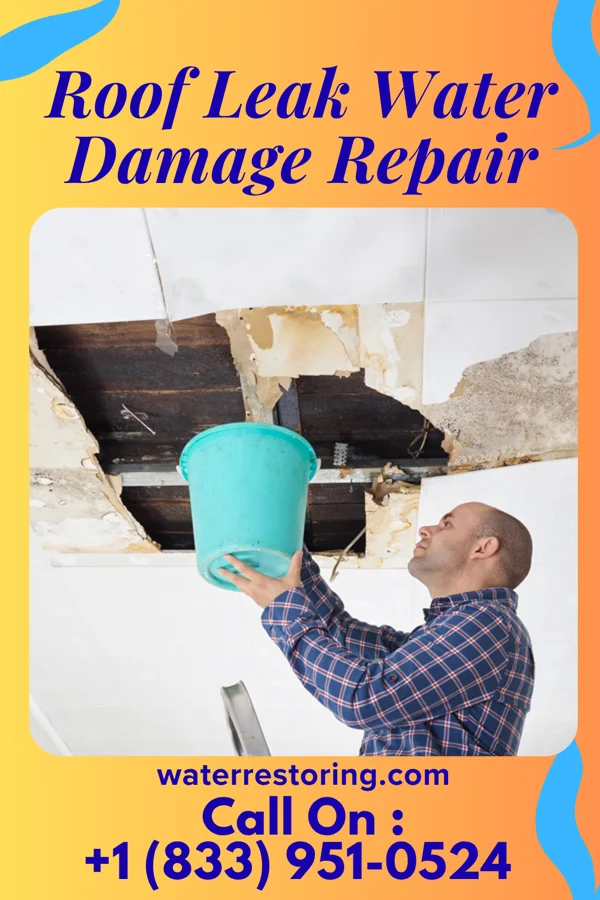 Roof Leak Water Damage Repair in New Providence, NJ