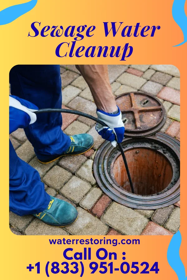 Sewage Water Cleanup in New Providence, NJ